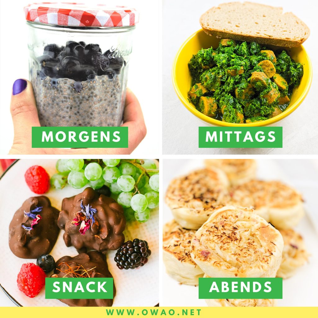 Gewichtsabnahme-vegan abnehmen-Fett reduzieren-OWAO!-Meal Prep-Meal Prep vegan